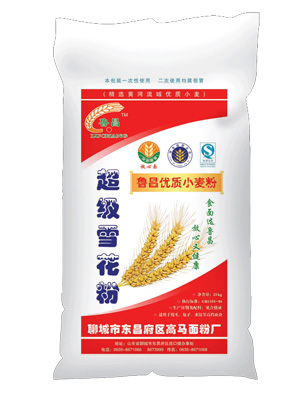 ����(j��)ѩ����